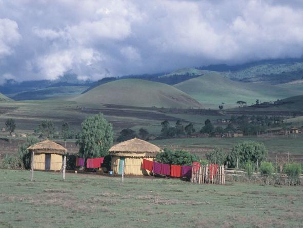 Kambi ya Tembo - Landscape 